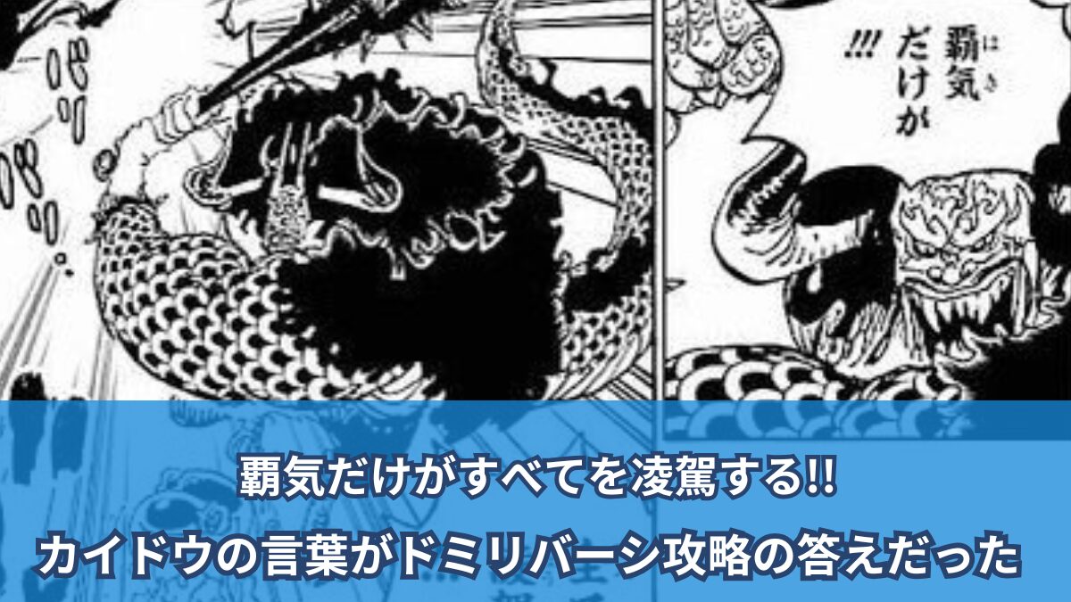 【ワンピースネタバレ考察】覇気だけが全てを超える！ ！