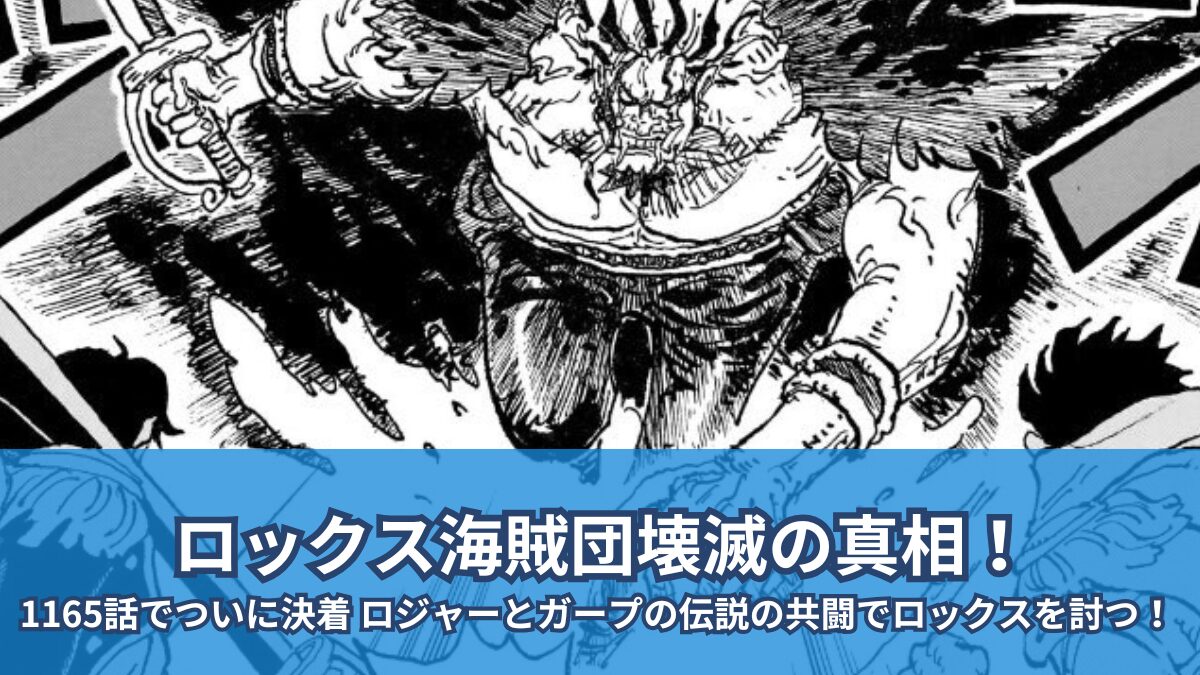ワンピースロックス】ワンピース ロックス·D·ジーベック ガレージ